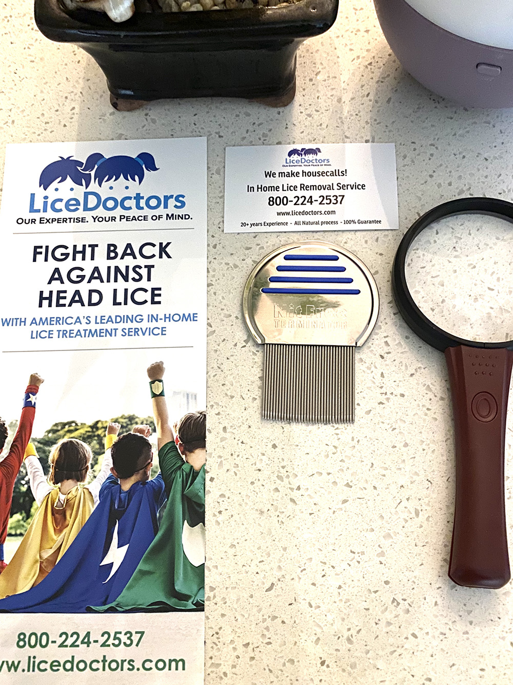 Head Lice Treatment Removal Service in Charlotte, North Carolina